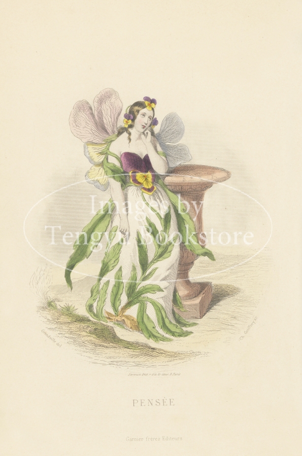 天才挿絵画家 グランヴィル 希少な2巻揃い 古書 洋書 インテリア アンテーク 天才挿絵画家 グランヴィル 希少な2巻揃い 古書 洋書 インテリア