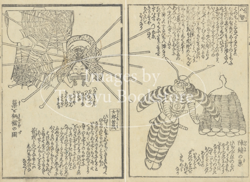 ♦江戸時代 浮世絵！類品少数 婦人図 雲母摺 竹製枠 額入 珍物 レア物 骨董品 ♢江戸時代 浮世絵！類品少数 婦人図 雲母摺 竹製枠 額入 珍物